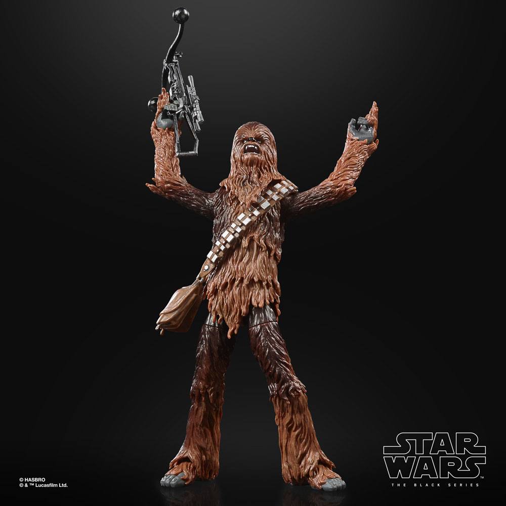 Star Wars Black Series Archive Action Figure 2022 501st Legion Clone  Trooper 15 cm – poptoys.it